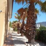 b7c568ae-0c4e-41fa-852c-fdd0ad864e42