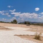 Fox Villas FOX-R103 - 045