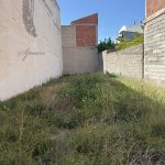 888247bc-51c7-4c89-8748-d5383793bbdd