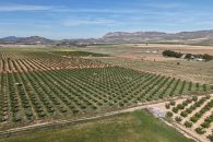 {:en} Bedrooms Land in Yecla - AC041{:}{:fr}Land de  Chambres  à Yecla - AC041{:}{:nl}Land met  Slaapkamers  in Yecla - AC041{:}{:es}Land de  Dormitorios en Yecla - AC041{:} at  for 50000