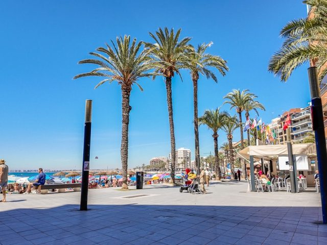 {:en}3 Bedrooms APARTMENT in TORREVIEJA - S2477{:}{:fr}APARTMENT de 3 Chambres  à TORREVIEJA - S2477{:}{:nl}APARTMENT met 3 Slaapkamers  in TORREVIEJA - S2477{:}{:es}APARTMENT de 3 Dormitorios en TORREVIEJA - S2477{:}