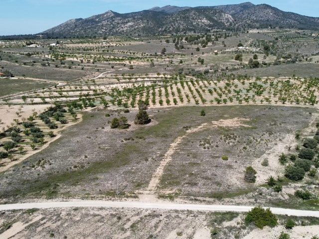 {:en} Bedrooms Plot in Pinoso - FOX-P116{:}{:fr}Plot de  Chambres  à Pinoso - FOX-P116{:}{:nl}Plot met  Slaapkamers  in Pinoso - FOX-P116{:}{:es}Plot de  Dormitorios en Pinoso - FOX-P116{:}