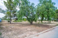 {:en} Bedrooms Plot_building in Ubeda - FOX-P118{:}{:fr}Plot_building de  Chambres  à Ubeda - FOX-P118{:}{:nl}Plot_building met  Slaapkamers  in Ubeda - FOX-P118{:}{:es}Plot_building de  Dormitorios en Ubeda - FOX-P118{:} at Ubeda, Alicante, Spain for 35000